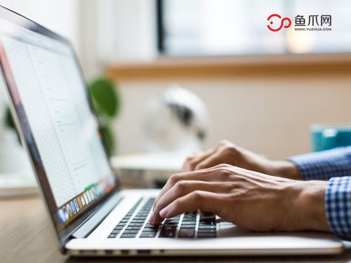 打破傳統，聚焦個體 從魚爪網看個人互聯網服務的品牌發展新路徑