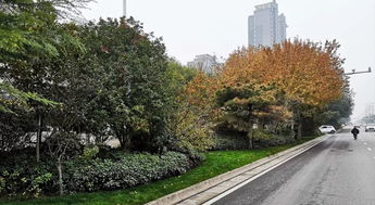 喜報 人文園林榮膺2018年度杭州市優秀園林綠化工程“三金”殊榮